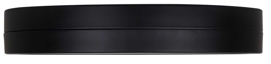 Briar LED Flush Mount in Matte Black Canarm Canada