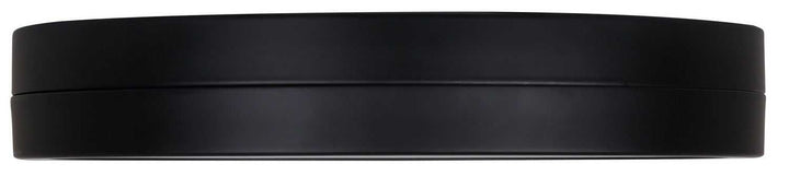 Briar LED Flush Mount in Matte Black Canarm Canada