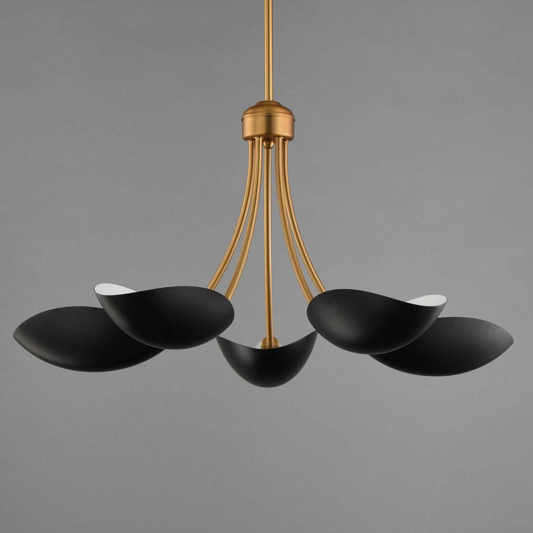 Maxim - 10825BKNAB - Five Light Chandelier - Maris - Black / Natural Aged Brass