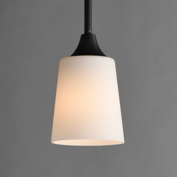 Hudson One Light Pendant in Black Maxim