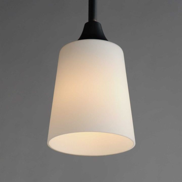 Hudson One Light Pendant in Black Maxim