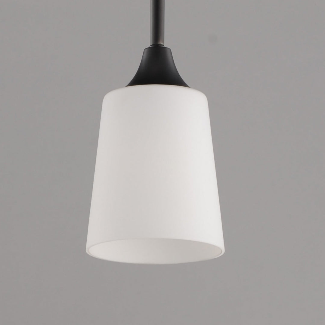 Hudson One Light Pendant in Black Maxim