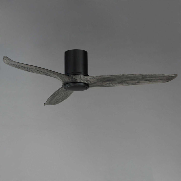 Maxim - 88830WTBKGWD - 52" Ceiling Fan - Woodwind - Black