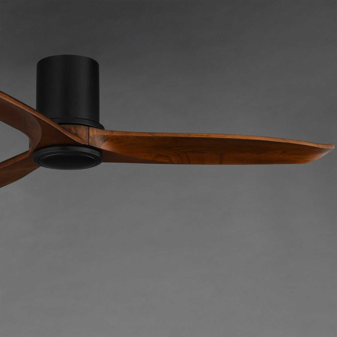 Woodwind 52" Ceiling Fan in Black Maxim