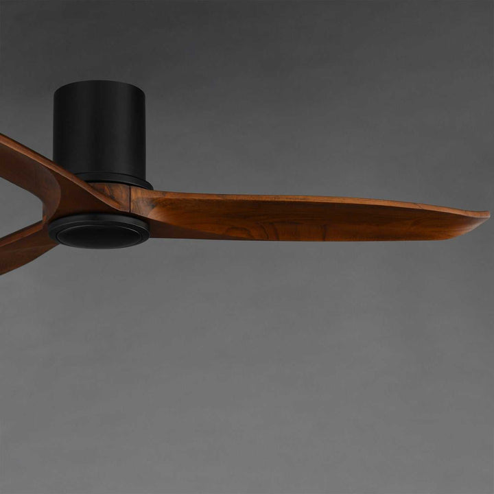 Woodwind 52" Ceiling Fan in Black Maxim