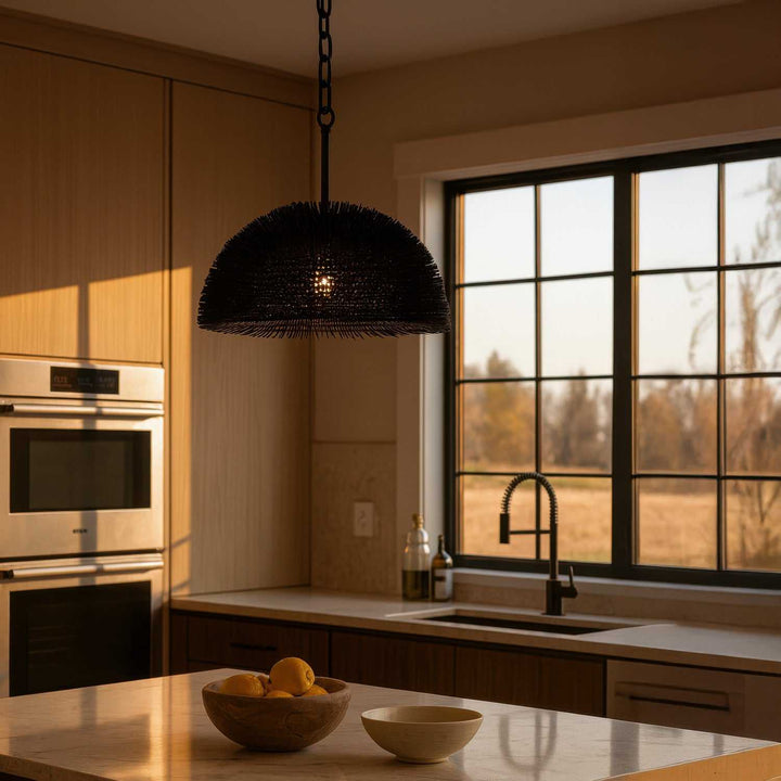 Urchin One Light Pendant in Black Varaluz