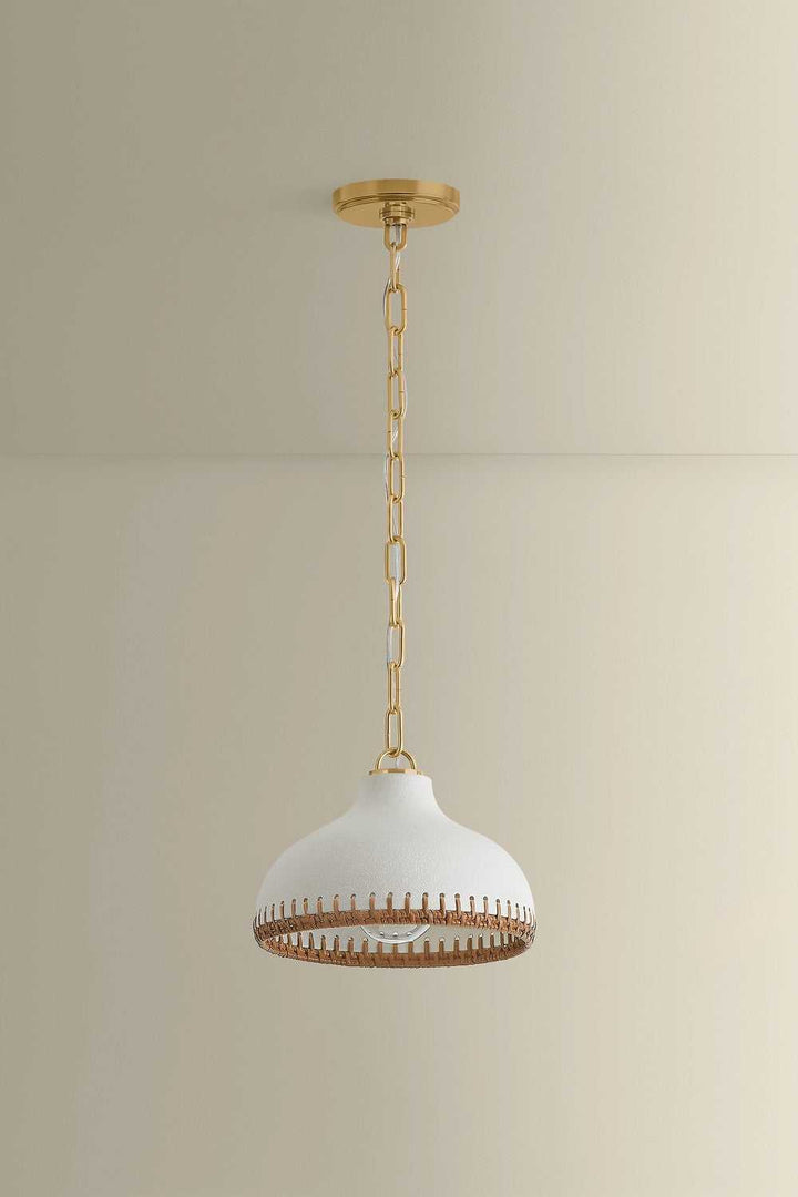 Southfields One Light Pendant in Aged Brass Hudson Valley Canada