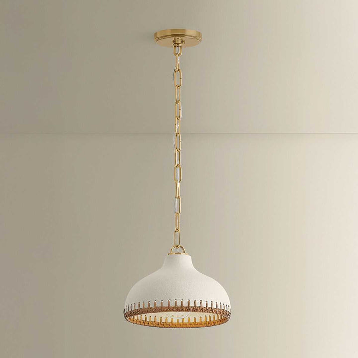 Southfields One Light Pendant in Aged Brass Hudson Valley Canada