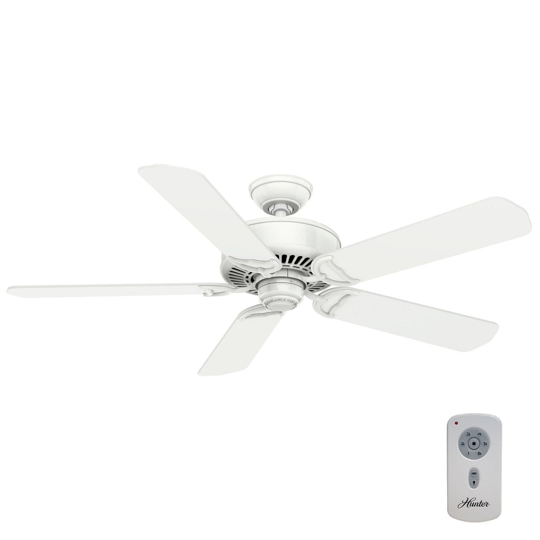 Panama ENERGY STAR DC 54 inch with Remote Hunter Fan Canada